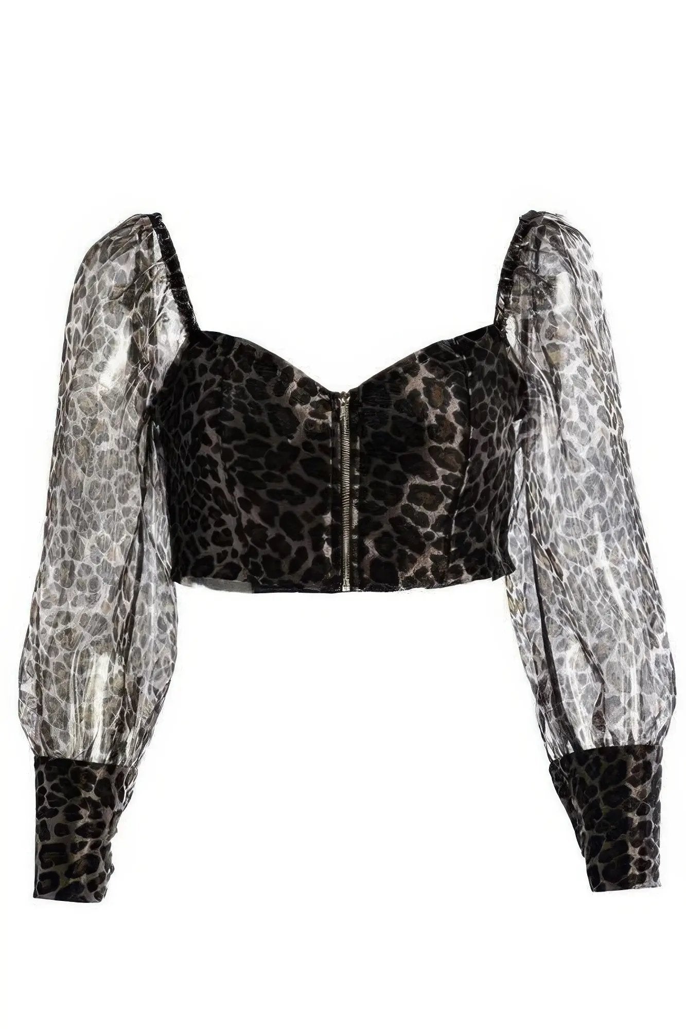 Sheer Leopard Print Crop Top - DressAffection