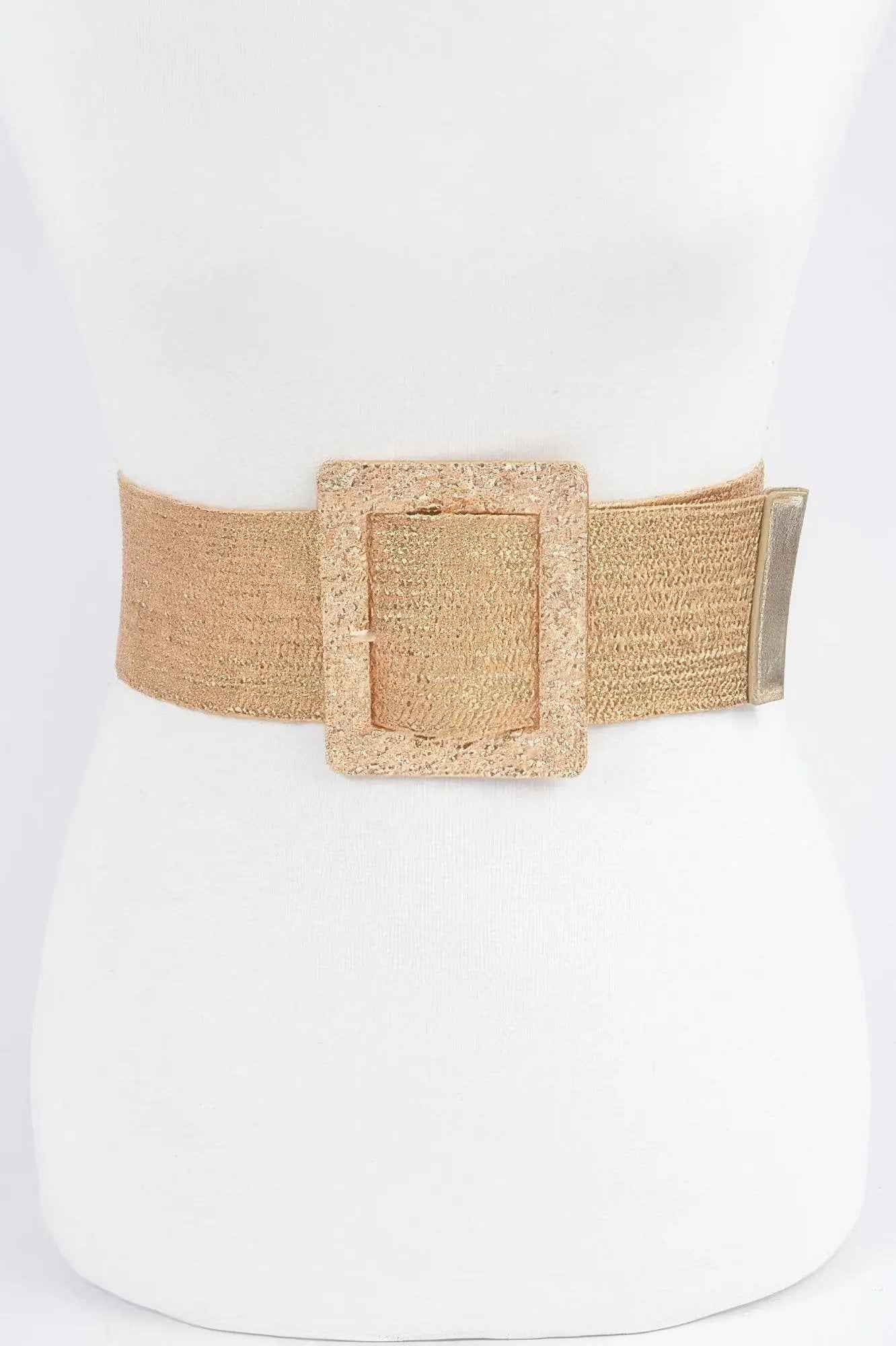 Wide Metal Buckle Clear Belt