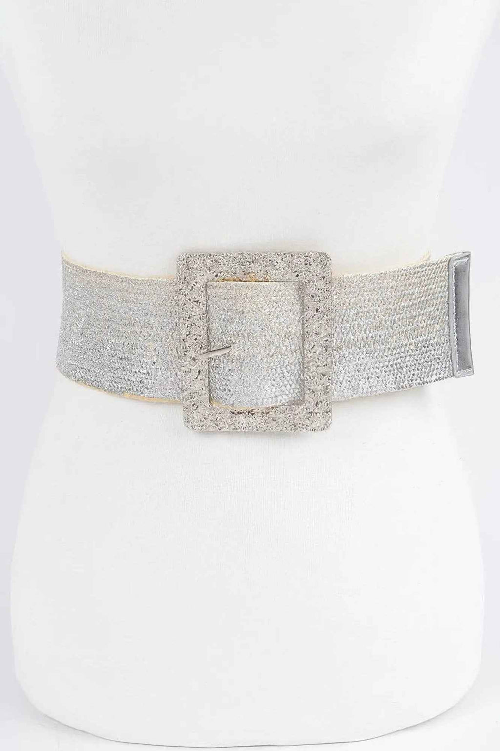 Wide Metal Buckle Clear Belt