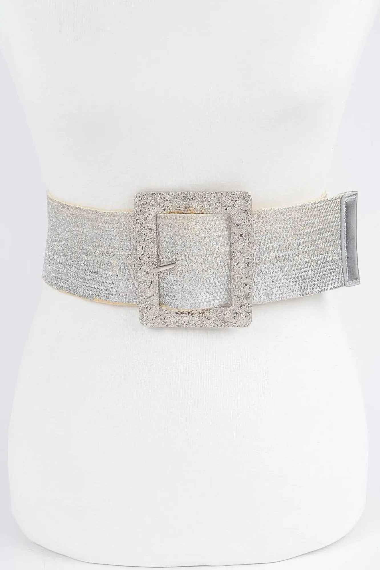 Wide Metal Buckle Clear Belt